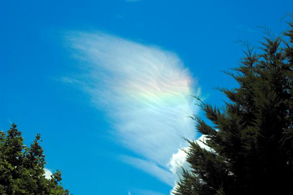 Circumhorizontal Arc