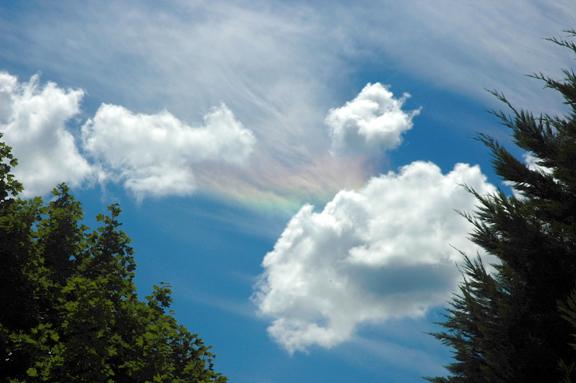 Circumhorizontal Arc