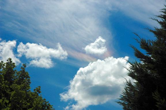 Circumhorizontal Arc